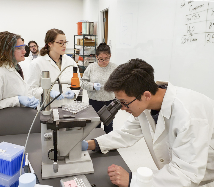 Students in chemistry lab.