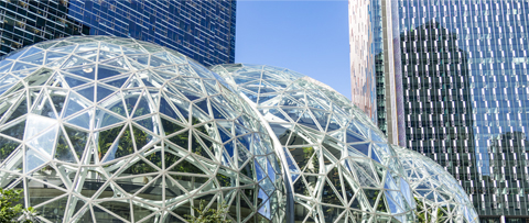 tops of amazon spheres