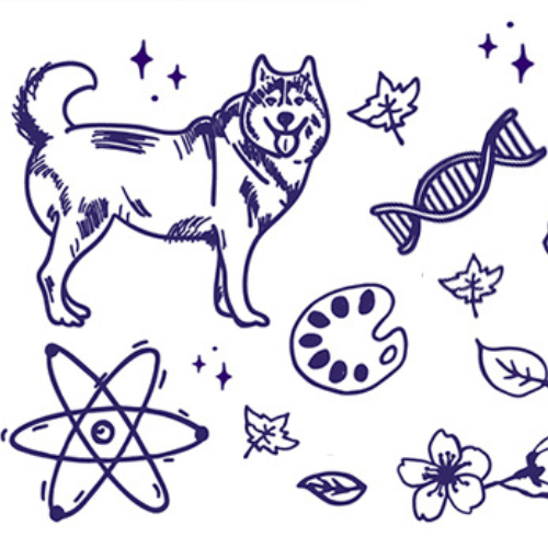 Collage of Arts & Science related graphics, including a Husky, a paint palette, and scientific elements.